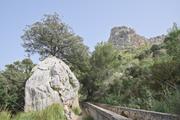 ../galleries/2024.03.29_Urlaub_Mallorca_-_Tag_6_-_Puig_des_Tossals_Verds/DSC_1666.thumbnail.jpg