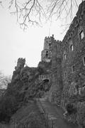 ../galleries/2025.02.16_Rheinsteig/DSC_4729.thumbnail.jpg