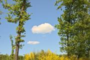 ../galleries/2025.05.12_Wanderung_Niederrod/DSC_5033.thumbnail.jpg