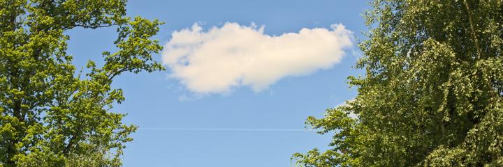 ../galleries/2025.05.12_Wanderung_Niederrod/DSC_5037.thumbnail.jpg