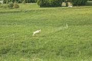 ../galleries/2025.05.12_Wanderung_Niederrod/DSC_5051.thumbnail.jpg
