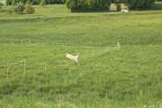 ../galleries/2025.05.12_Wanderung_Niederrod/DSC_5052.thumbnail.jpg