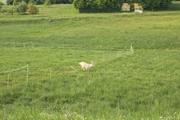 ../galleries/2025.05.12_Wanderung_Niederrod/DSC_5053.thumbnail.jpg