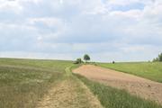 ../galleries/2025.05.17_Wanderung_Wispertal_Wisperoutback/DSC_5082.thumbnail.jpg