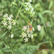 ../galleries/2025.05.17_Wanderung_Wispertal_Wisperoutback/DSC_5084.thumbnail.jpg