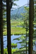 ../galleries/2025.06.25_Wanderurlaub_in_den_Vogesen/DSC_5128.thumbnail.jpg