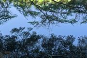 ../galleries/2025.06.25_Wanderurlaub_in_den_Vogesen/DSC_5131.thumbnail.jpg