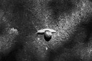 ../galleries/2025.06.25_Wanderurlaub_in_den_Vogesen/DSC_5166.thumbnail.jpg