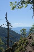 ../galleries/2025.06.25_Wanderurlaub_in_den_Vogesen/DSC_5193.thumbnail.jpg