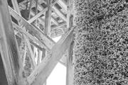 ../galleries/2025.10.01_Urlaub_Spessart_-_Tag_3_-_Bad_Orb/DSC_5606.thumbnail.jpg