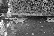 ../galleries/2025.10.01_Urlaub_Spessart_-_Tag_3_-_Bad_Orb/DSC_5607.thumbnail.jpg