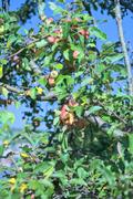 ../galleries/2025.10.01_Urlaub_Spessart_-_Wald/DSC_5632.thumbnail.jpg