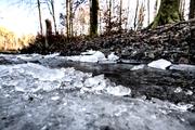../galleries/2025.12.28_Spaziergang_Alm/DSC_5946.thumbnail.jpg