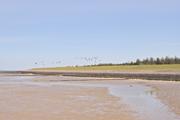 ../galleries/2026.04.11_Urlaub_Föhr_-_Tag_3_-_Nieblum/DSC_6372.thumbnail.jpg