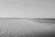 ../galleries/2026.04.12_Urlaub_Föhr_-_Tag_4_-_Garten/DSC_6436_01.thumbnail.jpg
