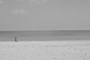 ../galleries/2026.04.14_Urlaub_Föhr_-_Tag_6_-_Wyk/DSC_6548.thumbnail.jpg