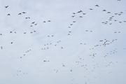 ../galleries/2026.04.15_Urlaub_Föhr_-_Tag_7_-_Mittagessen_im_Watts_Up/DSC_6591.thumbnail.jpg