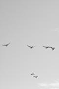 ../galleries/2026.04.16_Urlaub_Föhr_-_Tag_8_-_Wanderung_am_Strand_nach_Goting/DSC_6626.thumbnail.jpg
