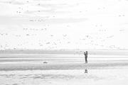 ../galleries/2026.04.16_Urlaub_Föhr_-_Tag_8_-_Wanderung_am_Strand_nach_Goting/DSC_6640.thumbnail.jpg