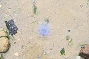 ../galleries/2026.04.18_Urlaub_Föhr_-_Tag_10_-_Spaziergang_Richtung_Goting/DSC_6663.thumbnail.jpg