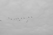 ../galleries/2026.04.18_Urlaub_Föhr_-_Tag_10_-_Spaziergang_Richtung_Goting/DSC_6674.thumbnail.jpg