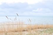 ../galleries/2026.04.19_Urlaub_Föhr_-_Tag_11_-_Lembecksburg/DSC_6683.thumbnail.jpg
