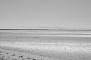 ../galleries/2026.04.21_Urlaub_Föhr_-_Tag_13-_Spaziergang_zur_Strandsauna/DSC_6774.thumbnail.jpg