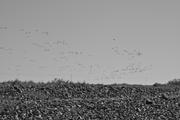 ../galleries/2026.04.21_Urlaub_Föhr_-_Tag_13-_Spaziergang_zur_Strandsauna/DSC_6776.thumbnail.jpg