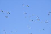 ../galleries/2026.04.21_Urlaub_Föhr_-_Tag_13-_Spaziergang_zur_Strandsauna/DSC_6785.thumbnail.jpg