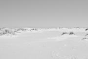 ../galleries/2026.04.22_Urlaub_Föhr_-_Tag_14_-_Amrum/DSC_6830.thumbnail.jpg